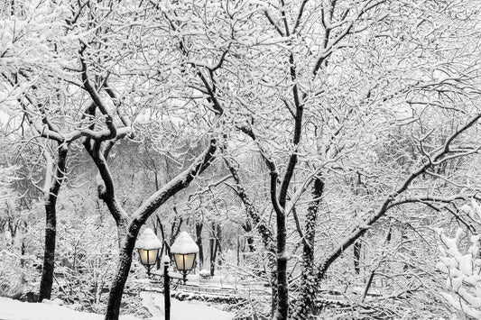 Emirgan Park - İstanbul IV