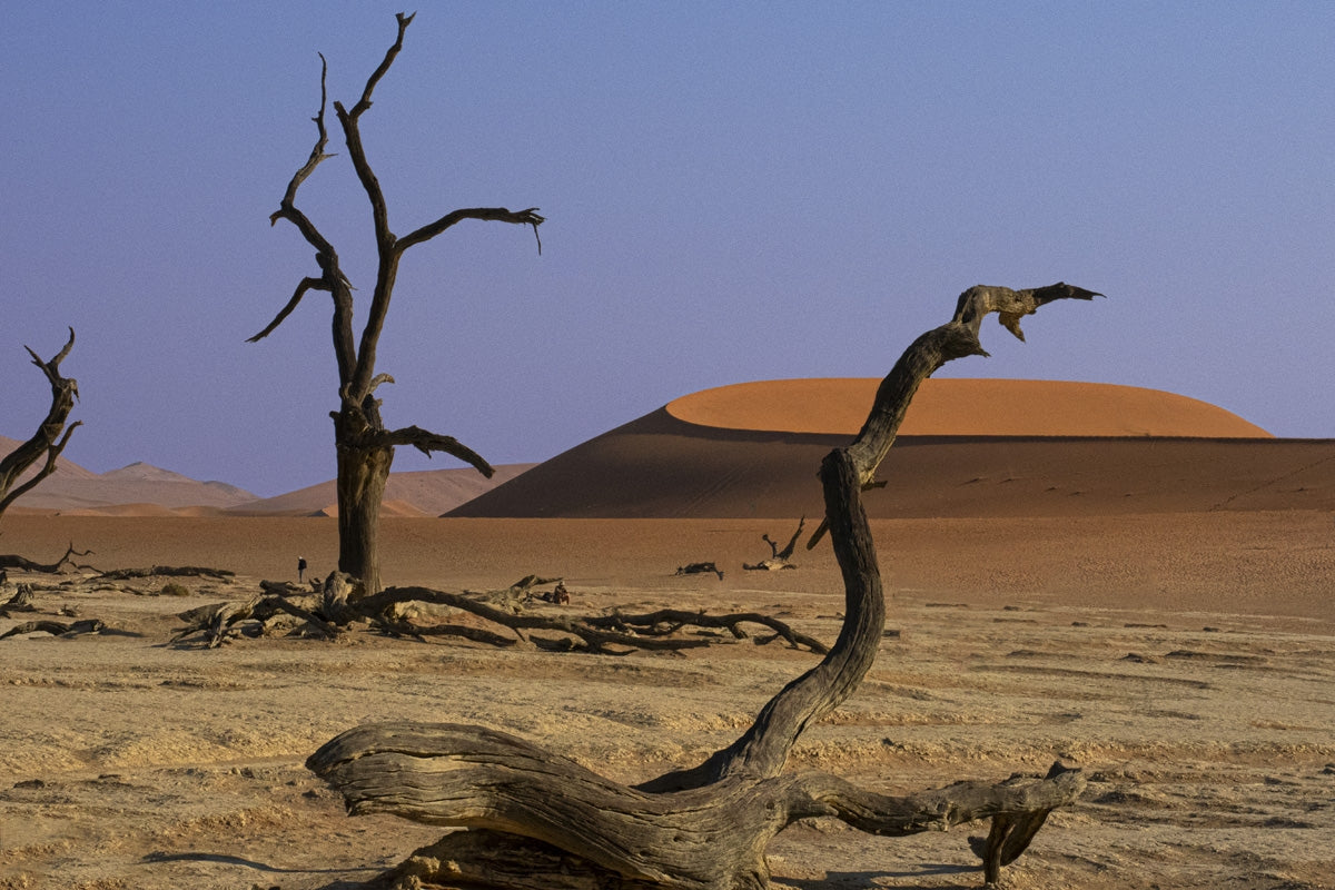 Namibia  Deadvlei