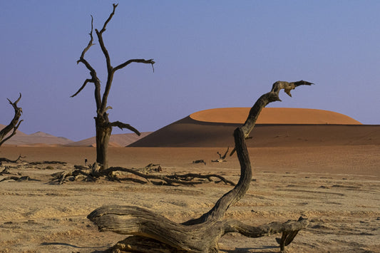 Namibia  Deadvlei
