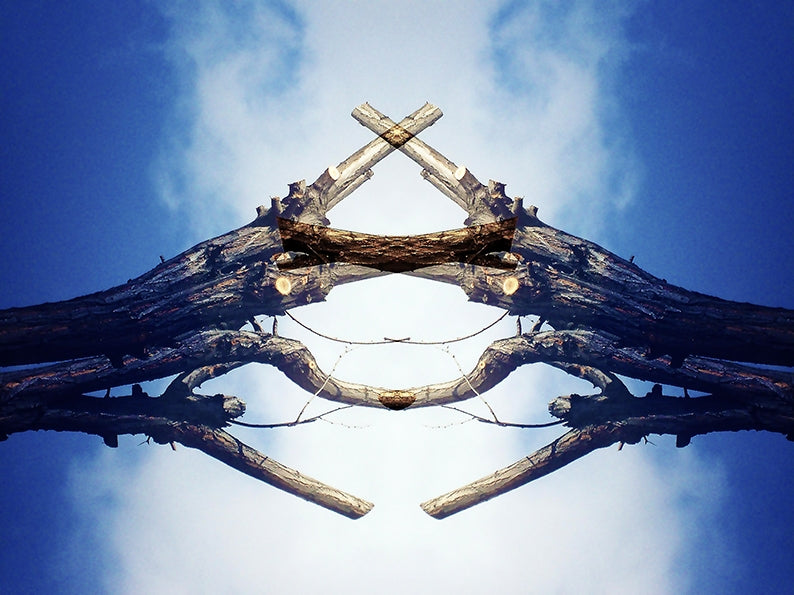 Chaotic Cross IV
