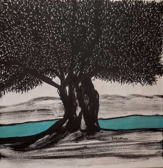 Zeytin AğacıM