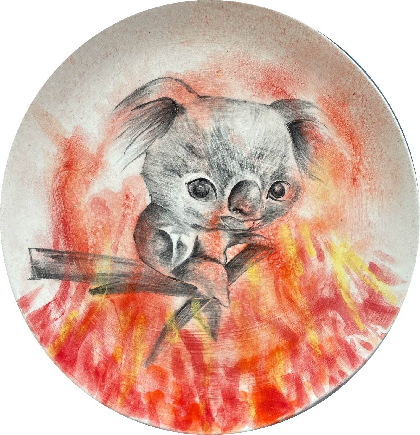 Koala Portre