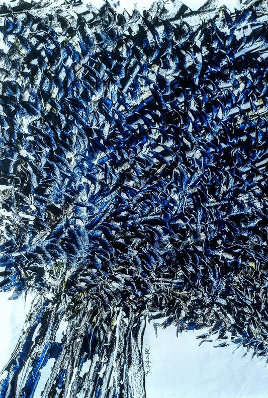 Zeytin AğacıM