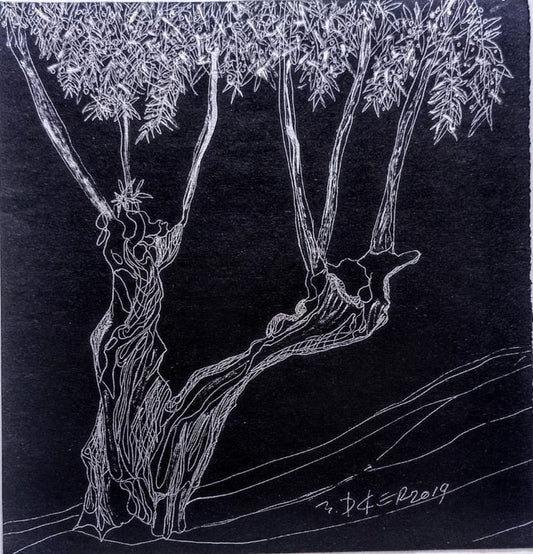 Zeytin AğacıM