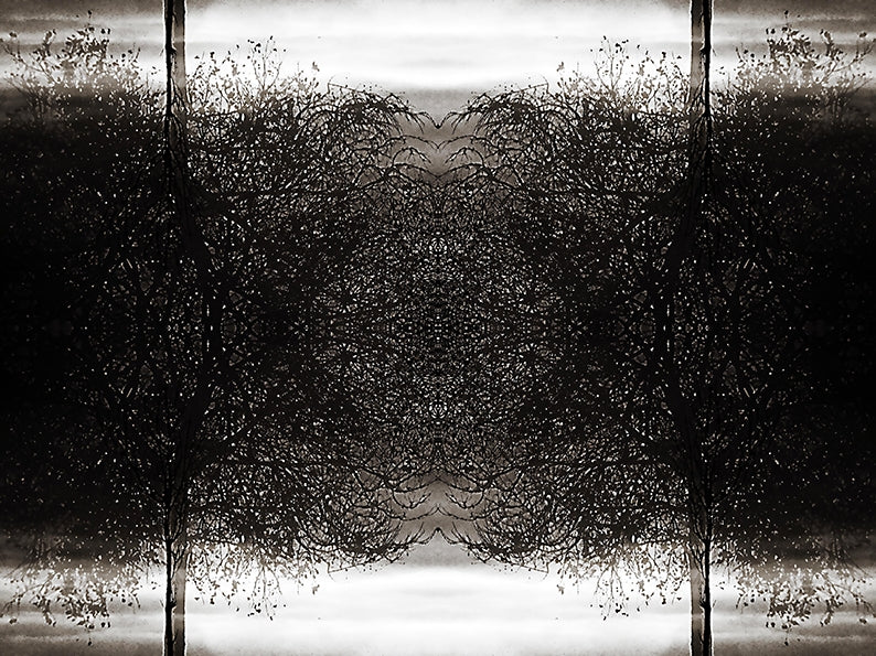 Chaotic Cross V
