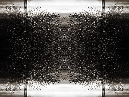 Chaotic Cross V