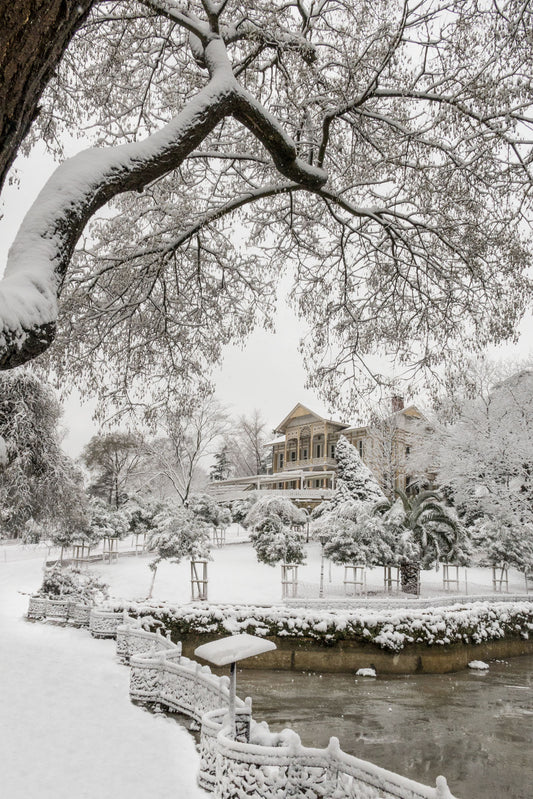 Emirgan Park - İstanbul V