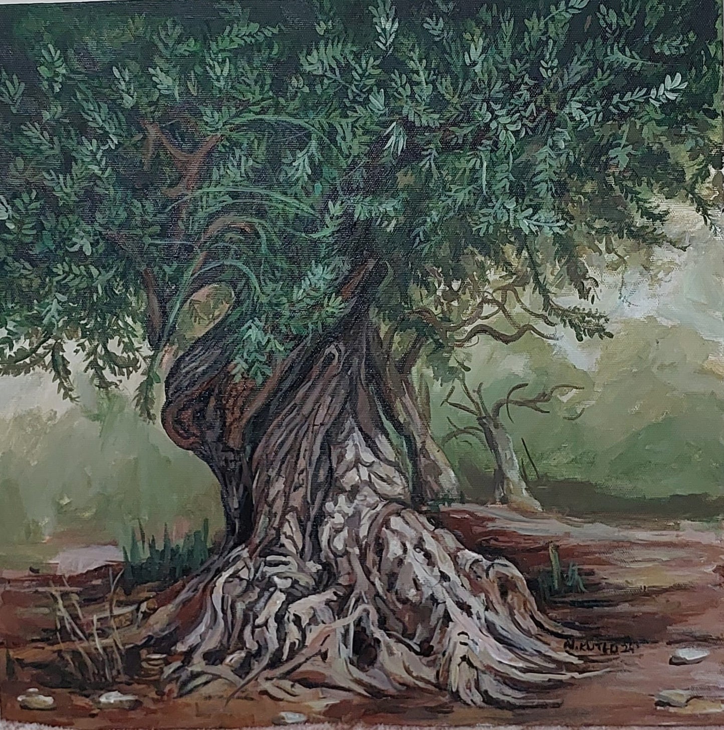 Zeytin Ağacı