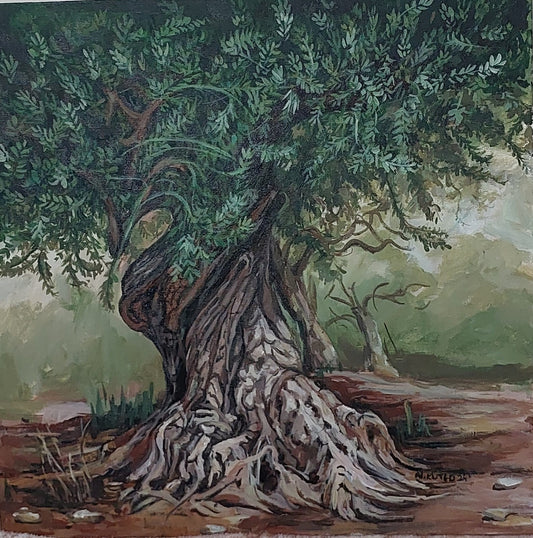 Zeytin Ağacı