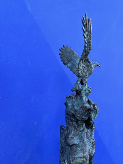 Kayadaki Kartal