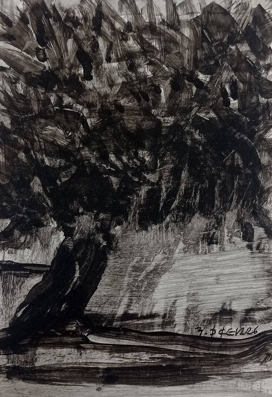 Zeytin AgacıM