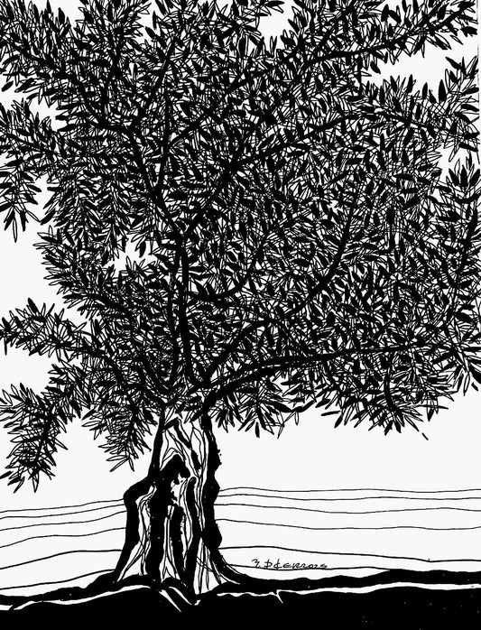 Zeytin AğacıM