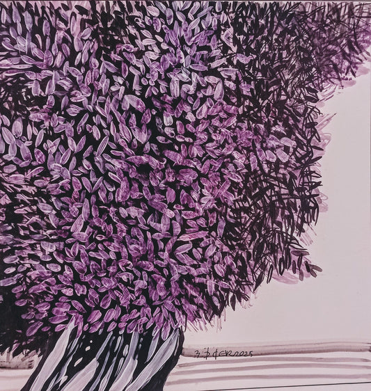 Zeytin AğacıM