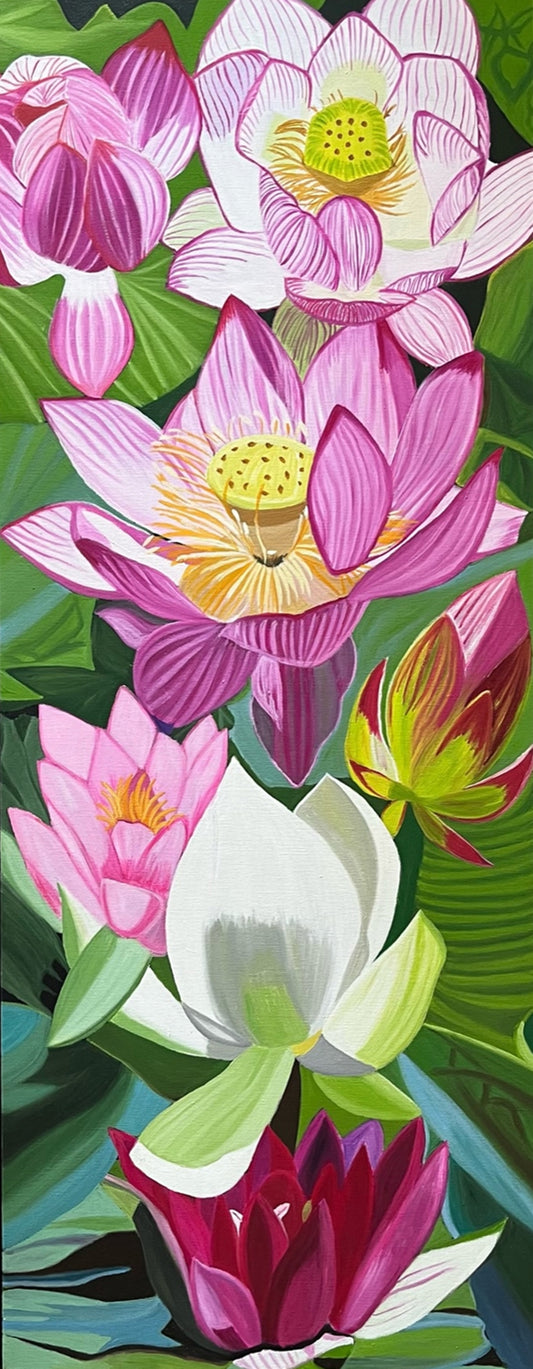 Lotus