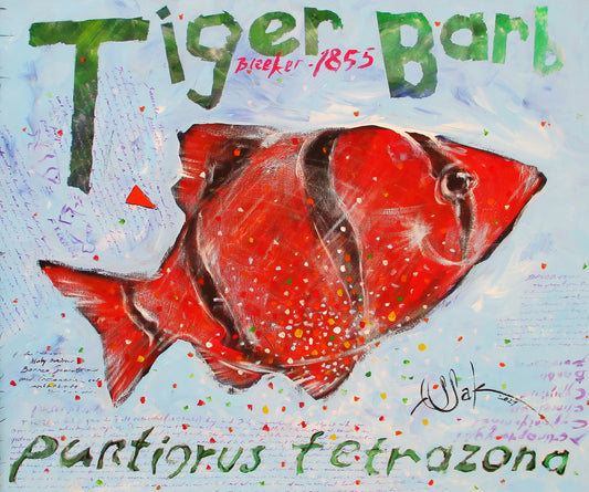 Tiger Barb