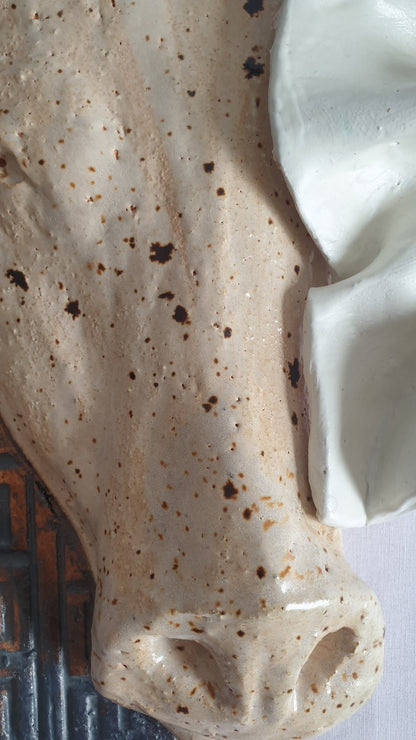 Boğa'lı Yüksek Rölyef
