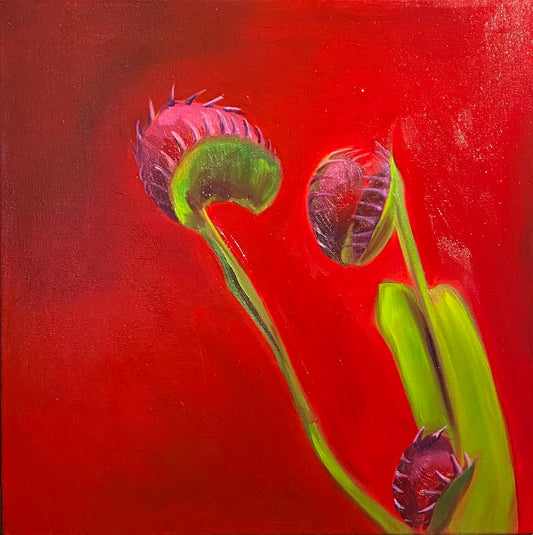 Venüs Flytrap