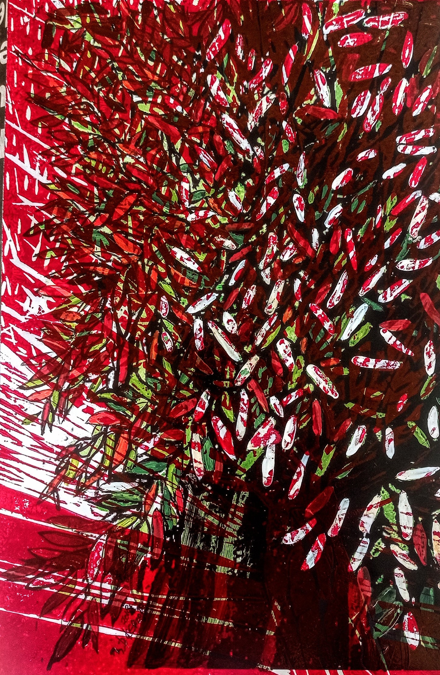 Zeytin AğacıM