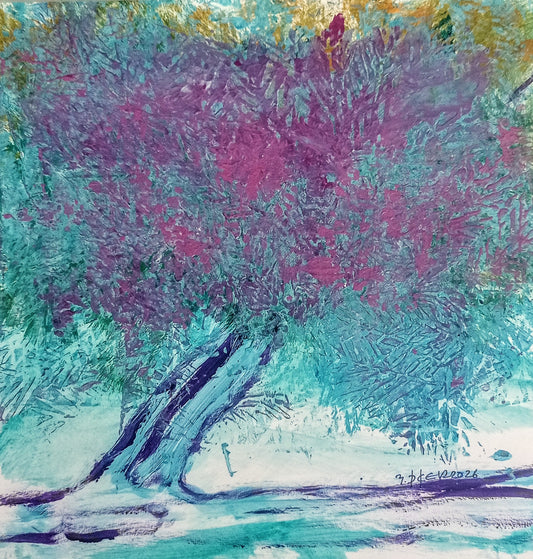 Zeytin AğacıM