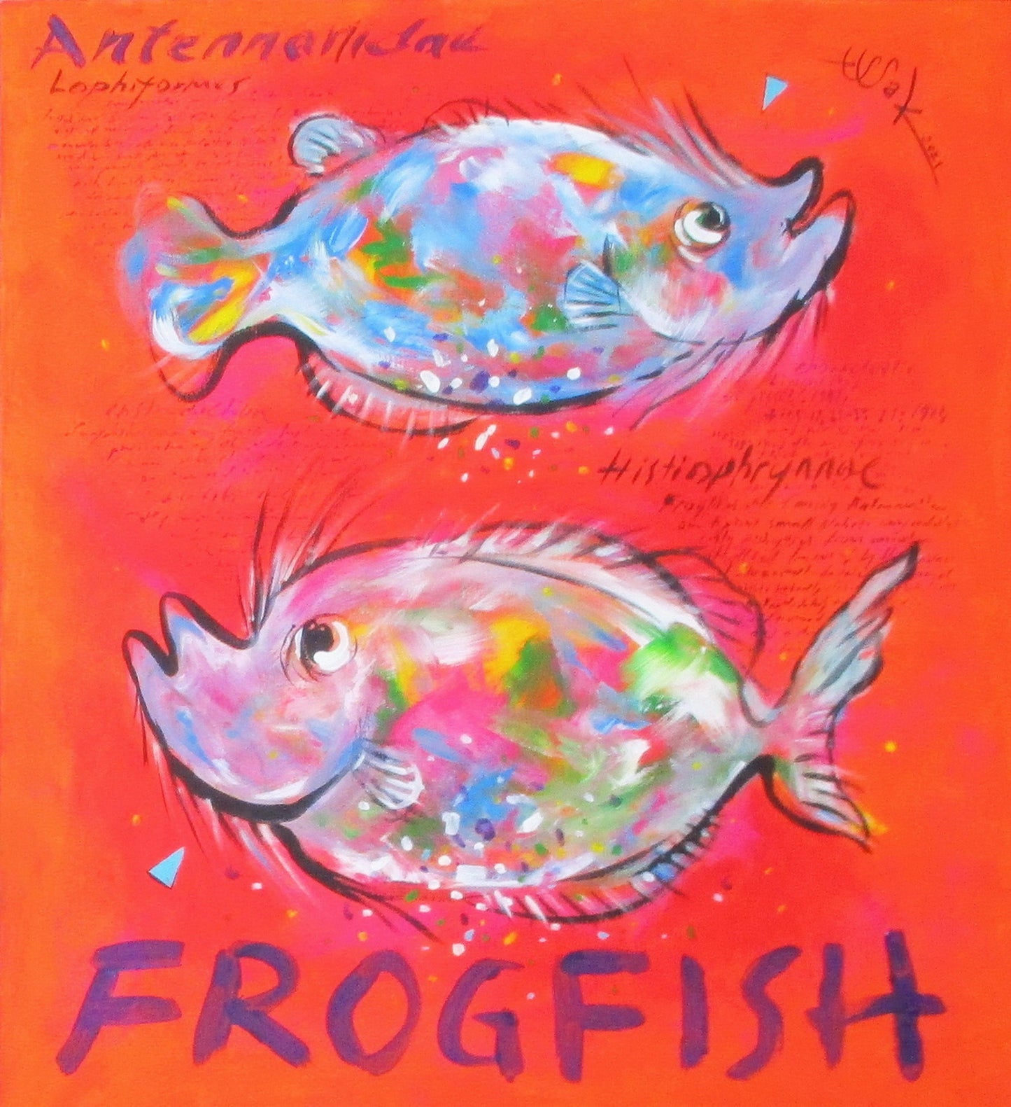 Frog Fish