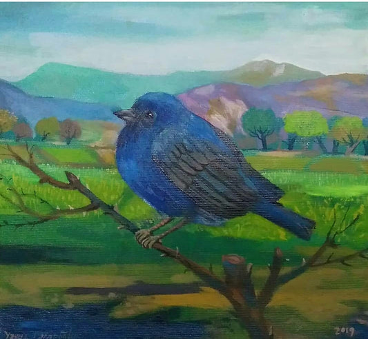 Mavi Kuş