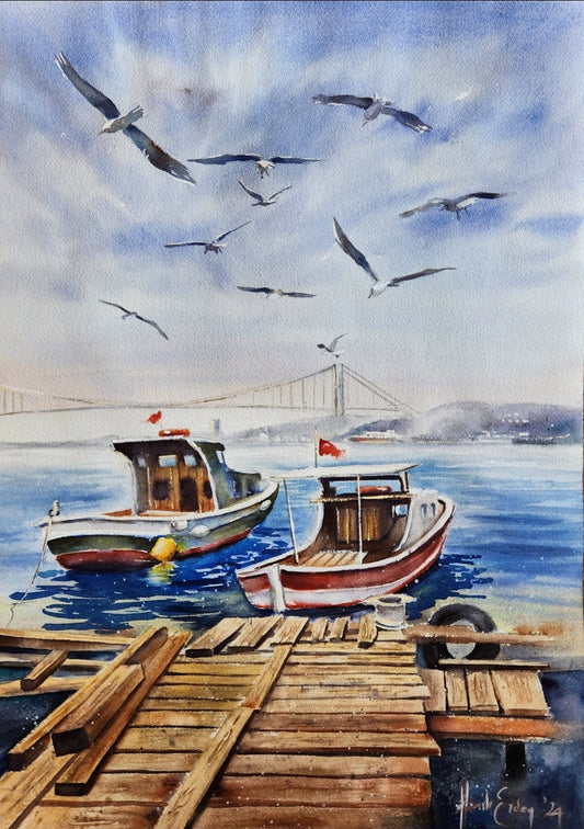 İstanbul ve Martılar