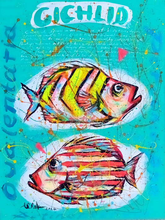Cichlid - Soldier Fish