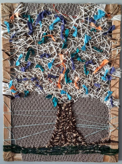 Zeytin AğacıM