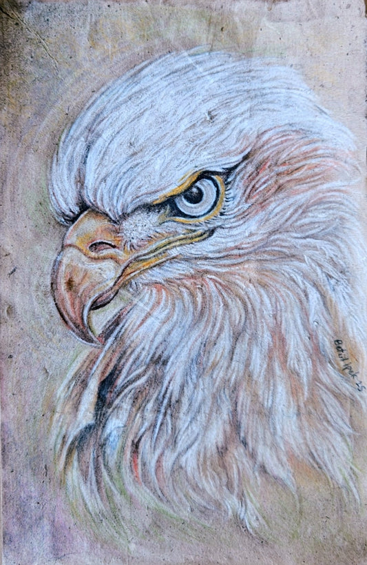 Kartal