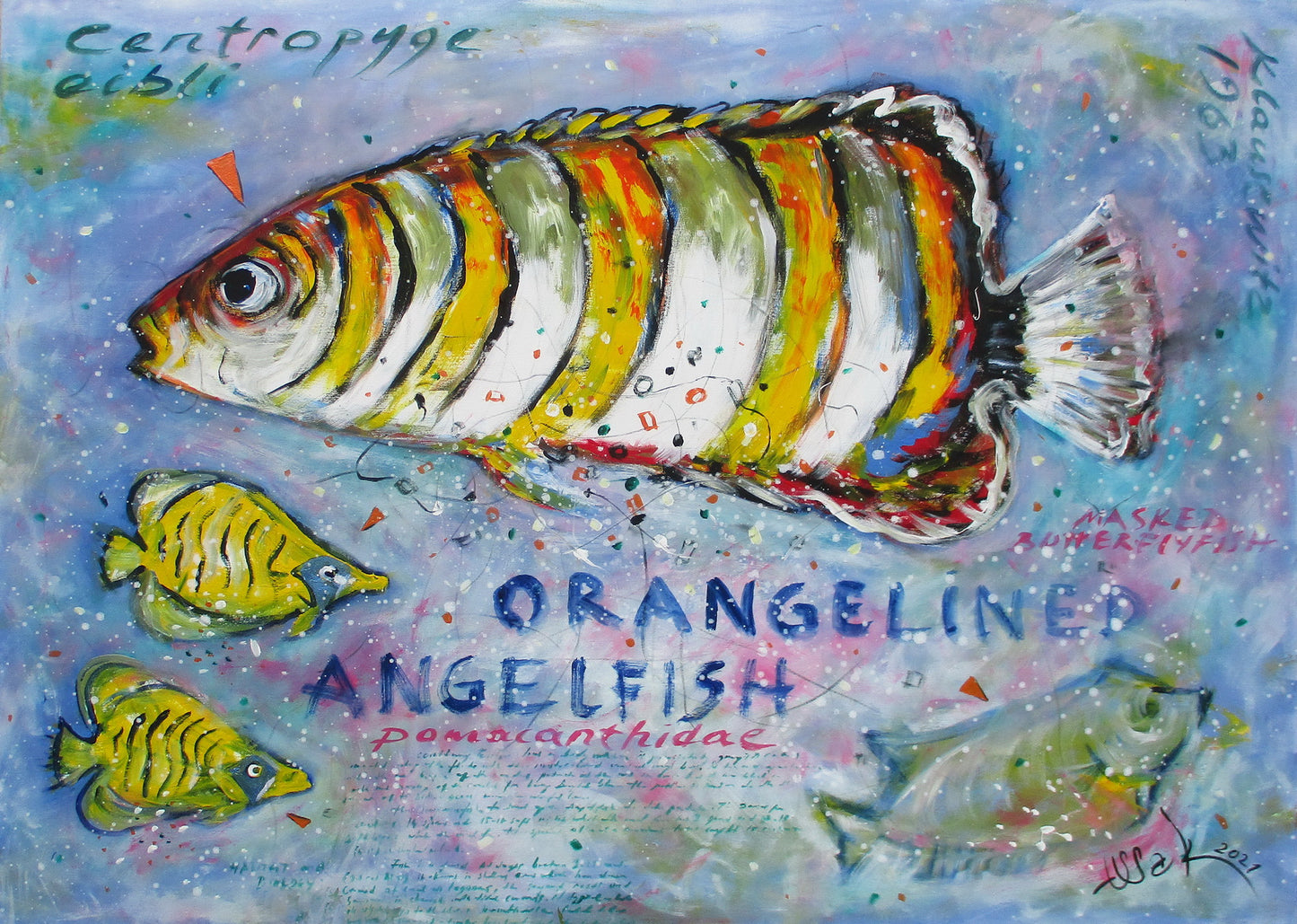 Angel Fish